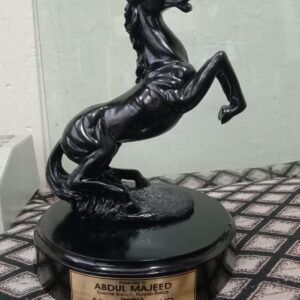 Rearing Horse Statue Set Glossy Black & Matte White | Premium Resin