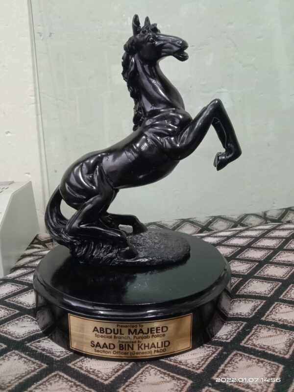 Rearing Horse Statue Set Glossy Black & Matte White | Premium Resin