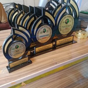 Premium Custom Flame Design Wooden Trophy